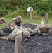 Litter Obstacle Course at Fort McCoy WI.