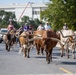 A herd of Texas Longhorn cattle is being driven down a paved public road in what appears to be an organized cattle drive or parade event. Multiple riders on horseback serve as drovers, guiding the herd from behind. The setting appears to be a small town or city street, with buildings and trees visible in the background.