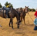 Two older adults pose with two saddled horses on a dry grass field. The man kneels in front holding a rope lasso and a cowboy hat, while the woman in a red shirt stands behind him with her hands on his shoulders. The setting appears to be an outdoor equestrian or rodeo event, with additional horses and riders visible in the background.