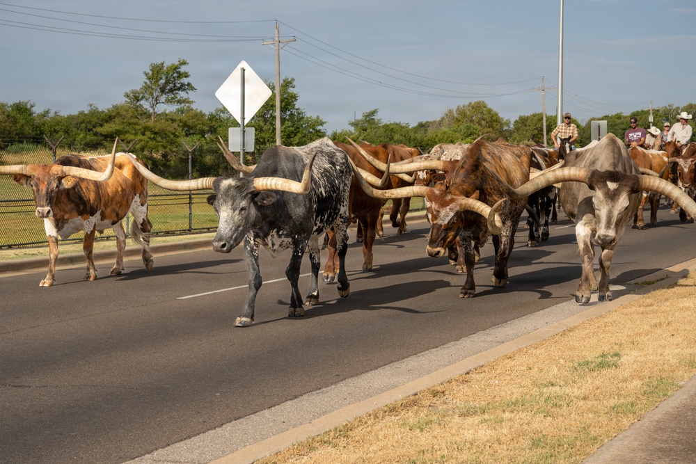 A herd of Texas Longhorn cattle is being driven down a paved public road by mounted cowboys. The cattle display characteristically long, wide-spanning horns and vary in coat color including brown, gray-speckled, and tan. Several riders on horseback are visible in the background guiding the herd.