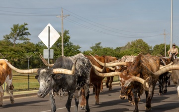 Altus AFB celebrates 28 years of The Cattle Drive
