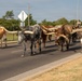 A herd of Texas Longhorn cattle is being driven down a paved public road by mounted cowboys. The cattle display characteristically long, wide-spanning horns and vary in coat color including brown, gray-speckled, and tan. Several riders on horseback are visible in the background guiding the herd.