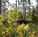 8th Engineer Support Battalion Marine Corps Combat Readiness Evaluation