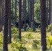 8th Engineer Support Battalion Marine Corps Combat Readiness Evaluation