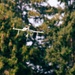 1st Special Forces Group (Airborne) conducts drone training with 7th Infantry Division (Multi-Domain Command - Pacific)