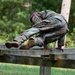 327th Military Police Battalion tackles Confidence Course at Fort McCoy