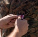 A close-up image showing hands pinning a medal onto a U.S. Marines uniform. The uniform displays the name tape 'ANGULO' on the left chest and 'U.S. MARINES' branch tape on the right, both in the standard MARPAT digital camouflage pattern. The medal being pinned appears to have a red and white ribbon, consistent with a military decoration ceremony.