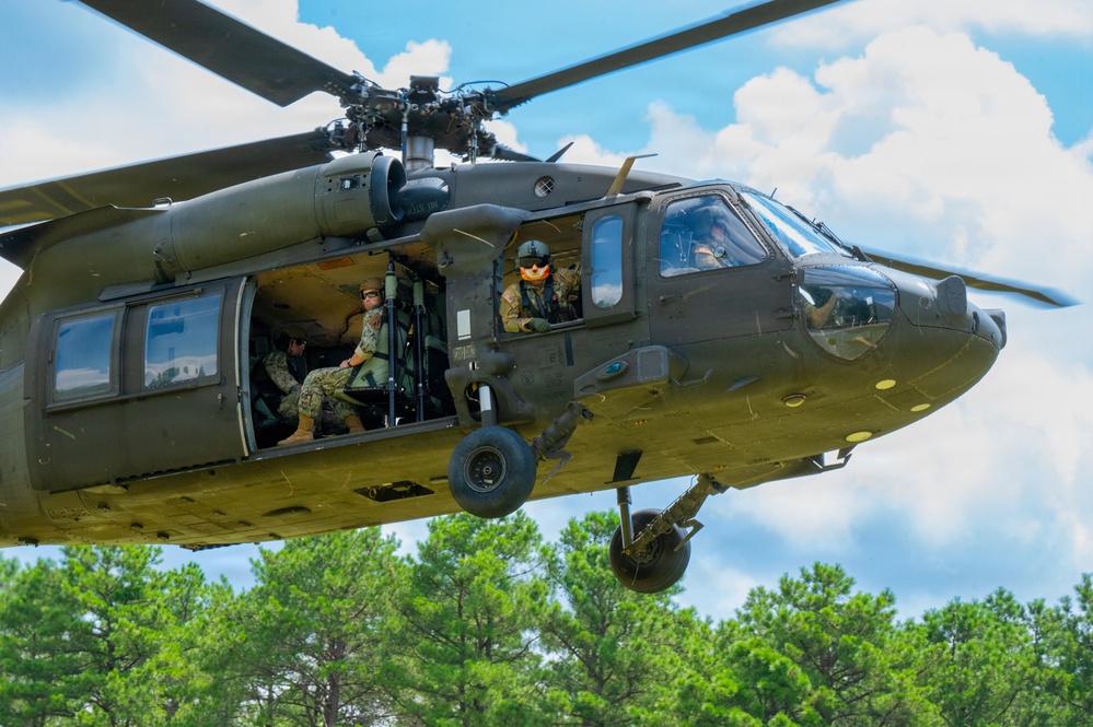 87th SFS military working dogs in action