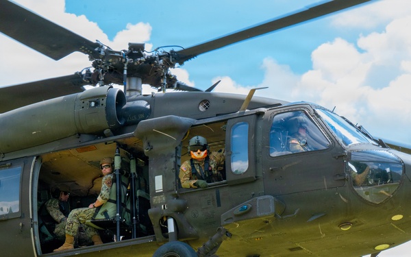 87th SFS military working dogs in action