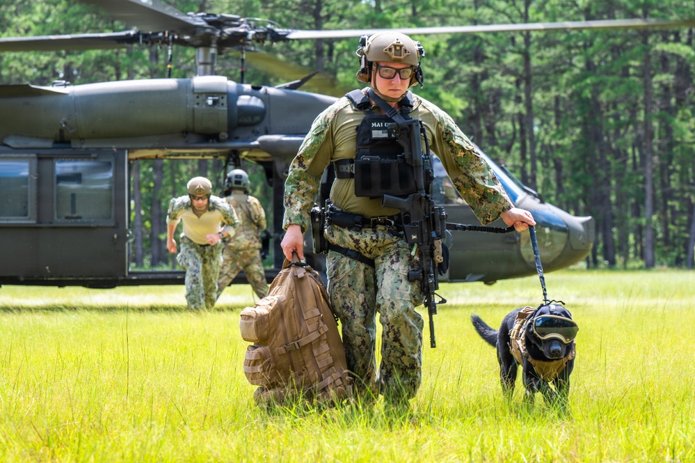 87th SFS military working dogs in action