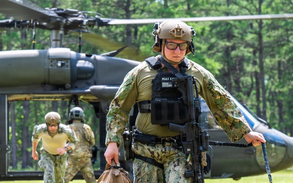 87th SFS military working dogs in action