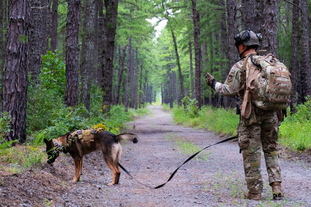 87th SFS military working dogs in action