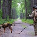 87th SFS military working dogs in action