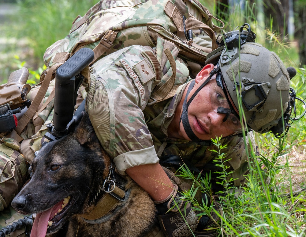 87th SFS military working dogs in action