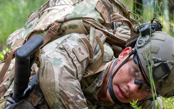 87th SFS military working dogs in action