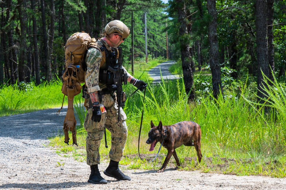 87th SFS military working dogs in action