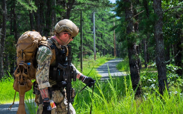 87th SFS military working dogs in action