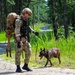 87th SFS military working dogs in action