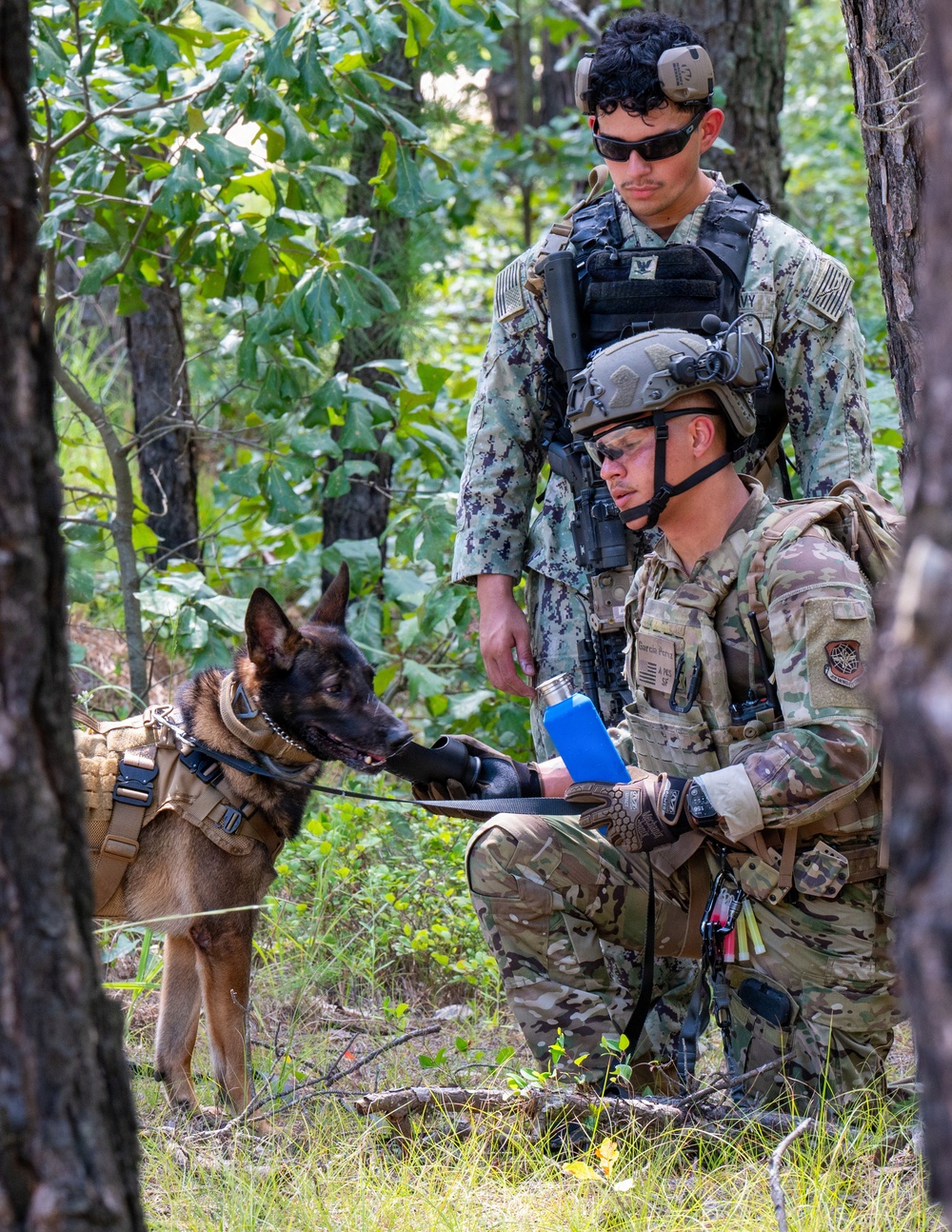 87th SFS military working dogs in action