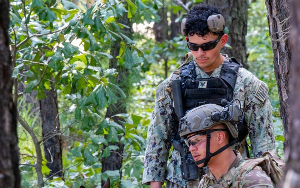 87th SFS military working dogs in action