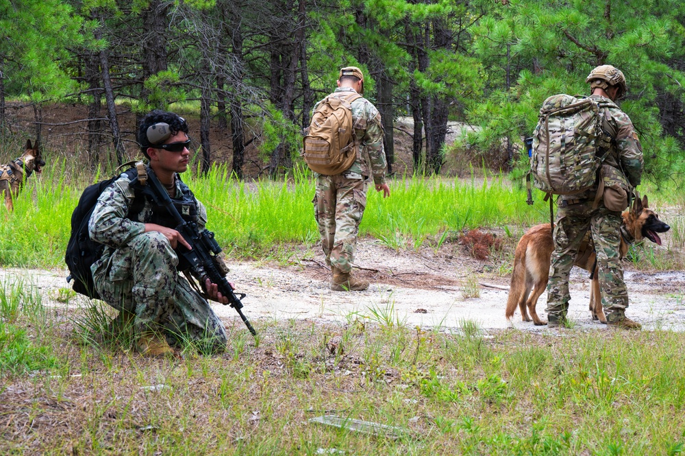 87th SFS military working dogs in action