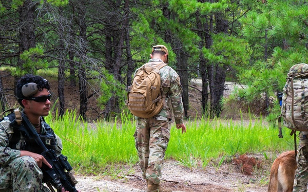 87th SFS military working dogs in action