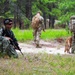 87th SFS military working dogs in action
