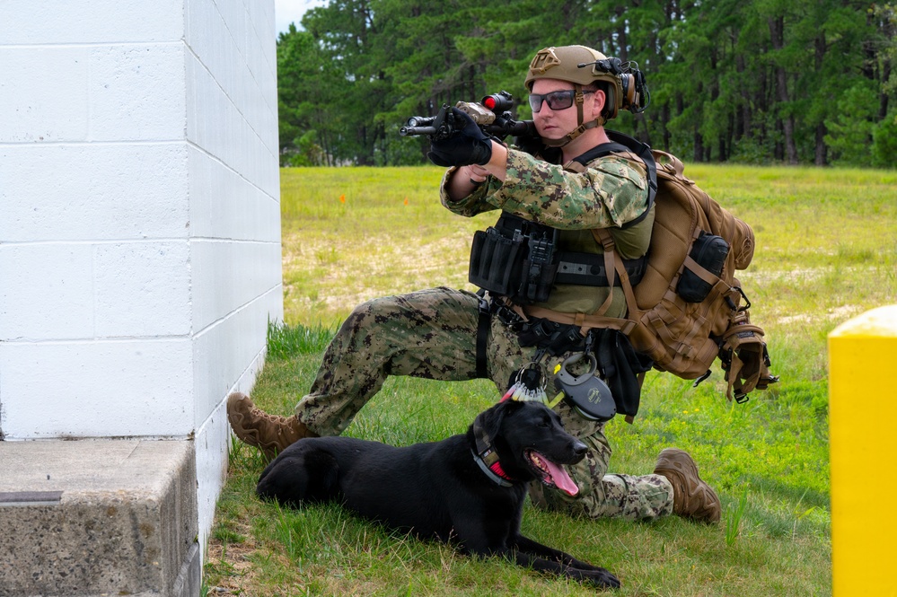 87th SFS military working dogs in action