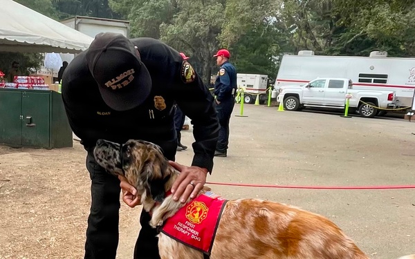Therapy Dogs Visit Timber Fire ICP
