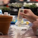 Paint-and-Plant Military Spouses event
