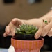 Paint-and-Plant Military Spouses event