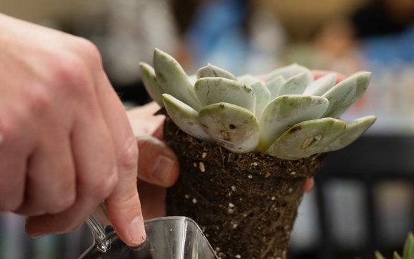 Paint-and-Plant Military Spouses event