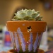 Paint-and-Plant Military Spouses event