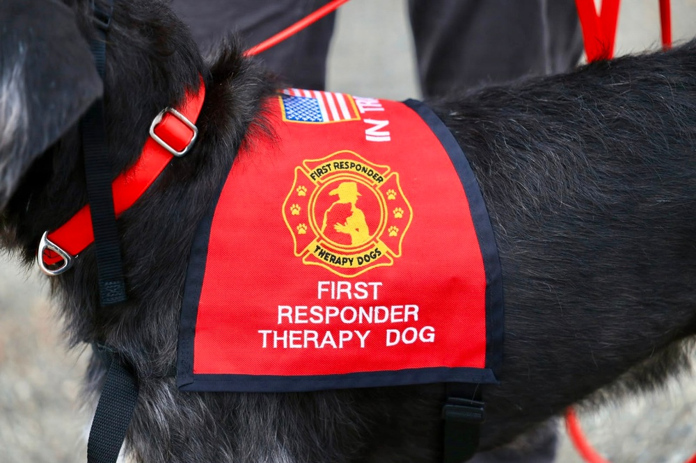 Therapy Dogs Visit Timber Fire ICP