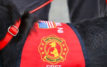 Therapy Dogs Visit Timber Fire ICP