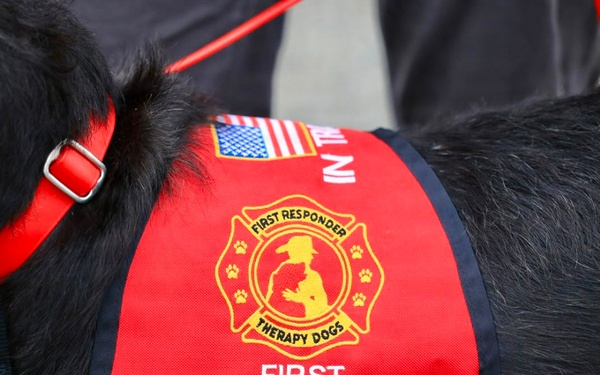 Therapy Dogs Visit Timber Fire ICP