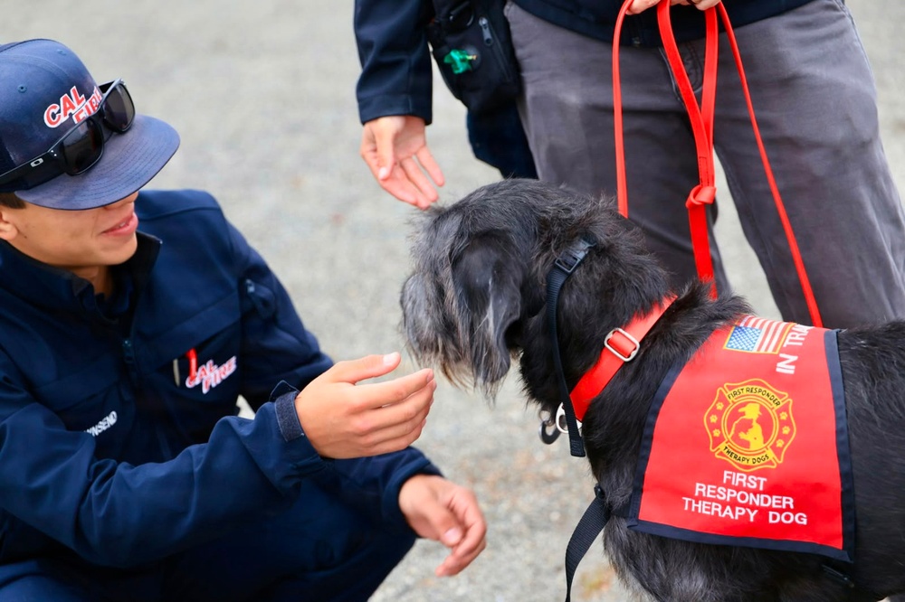 Therapy Dogs Visit Timber Fire ICP