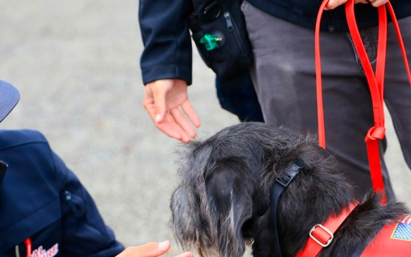 Therapy Dogs Visit Timber Fire ICP