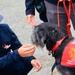 Therapy Dogs Visit Timber Fire ICP