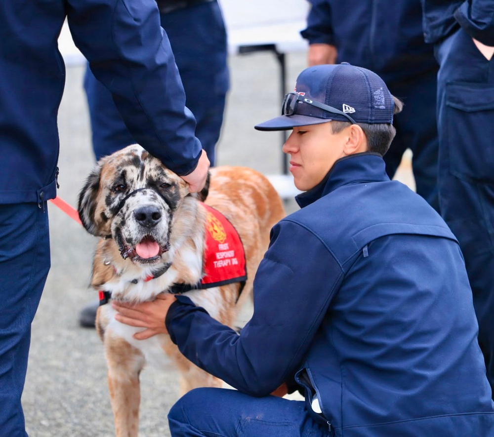 Therapy Dogs Visit Timber Fire ICP