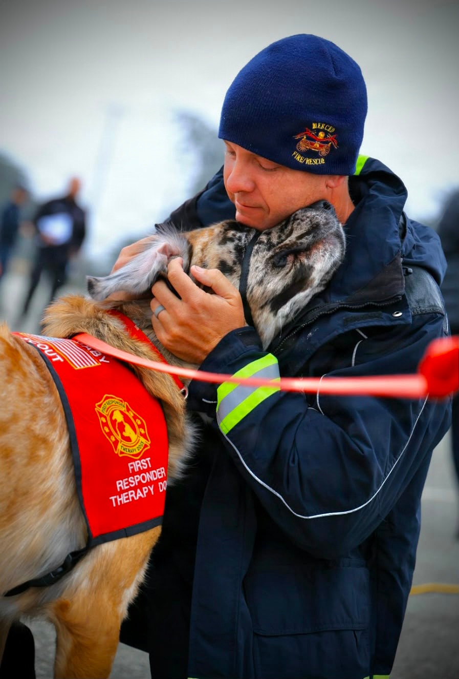 Therapy Dogs Visit Timber Fire ICP