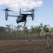 MRF-D Marines conduct fast-roping training