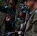 Ksatria Warrior 26 FTX