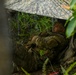 Ksatria Warrior 26: Bravo Company FTX Defense Ops
