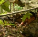 Ksatria Warrior 26: Bravo Company FTX Defense Ops