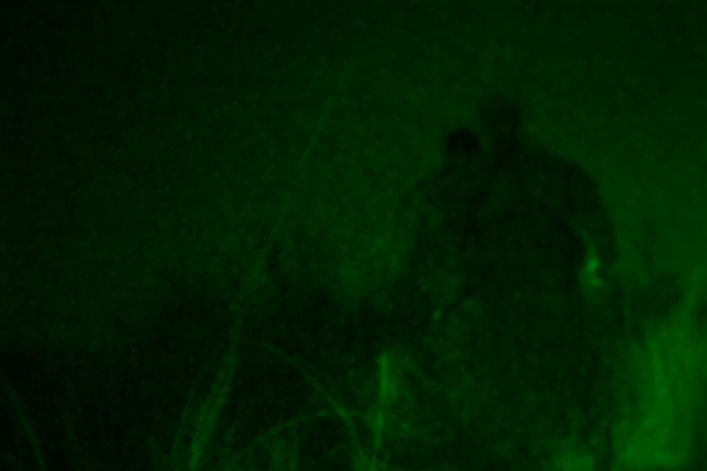 A night vision image captured in green monochrome showing what appears to be a figure in the center-right of the frame surrounded by vegetation. The image was captured using night vision or infrared imaging technology, giving it the characteristic green phosphor appearance. The scene appears to be an outdoor environment at night with low ambient light.