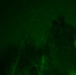 A night vision image captured in green monochrome showing what appears to be a figure in the center-right of the frame surrounded by vegetation. The image was captured using night vision or infrared imaging technology, giving it the characteristic green phosphor appearance. The scene appears to be an outdoor environment at night with low ambient light.