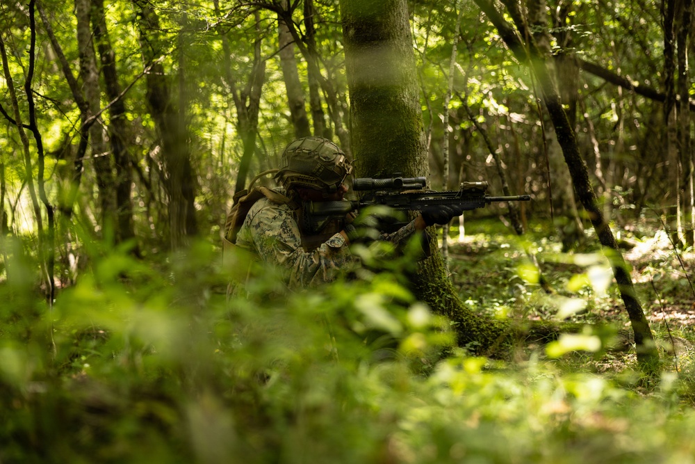 A soldier in full combat gear is positioned behind a tree in a dense forest, aiming a rifle in a tactical shooting stance. The individual is wearing digital camouflage uniform and a helmet with attached equipment. The setting appears to be a woodland training exercise or operational patrol in a lush, green forest environment.