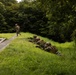 A military training exercise is underway in a lush, green outdoor environment. Several soldiers are in a prone firing position along a grassy embankment with rifles aimed forward, while one soldier is running in the background. The scene depicts a classic fire-and-maneuver tactical drill with suppressing elements and a moving element.