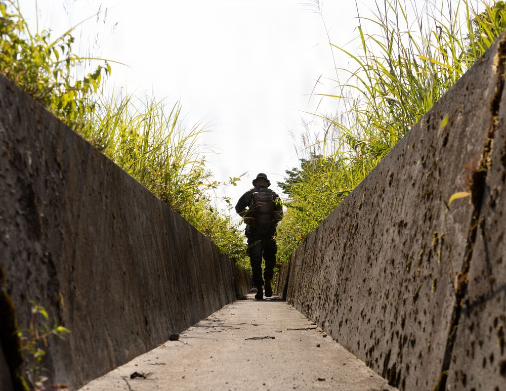 A lone figure wearing dark clothing, a bucket hat, and carrying a backpack walks away from the camera along a narrow concrete pathway flanked by two weathered stone or concrete walls. Lush green vegetation and tall grasses grow above the walls on both sides, framing the scene. The composition uses strong linear perspective, drawing the eye toward the silhouetted subject against a bright, overcast sky.
